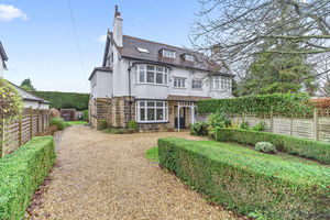 Photo 47- click for photo gallery